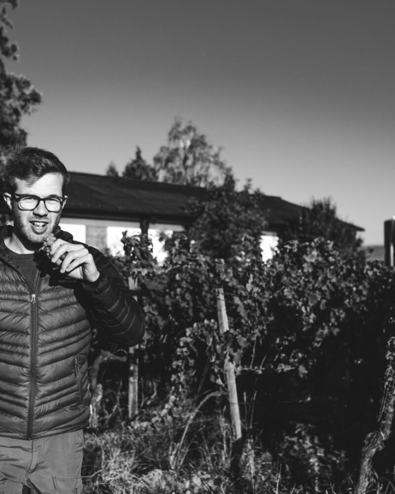 德國盧伯特單一園黃砂岩紅酒 Pinot Noir Gelber Sandstein Ruppertsberg 2021